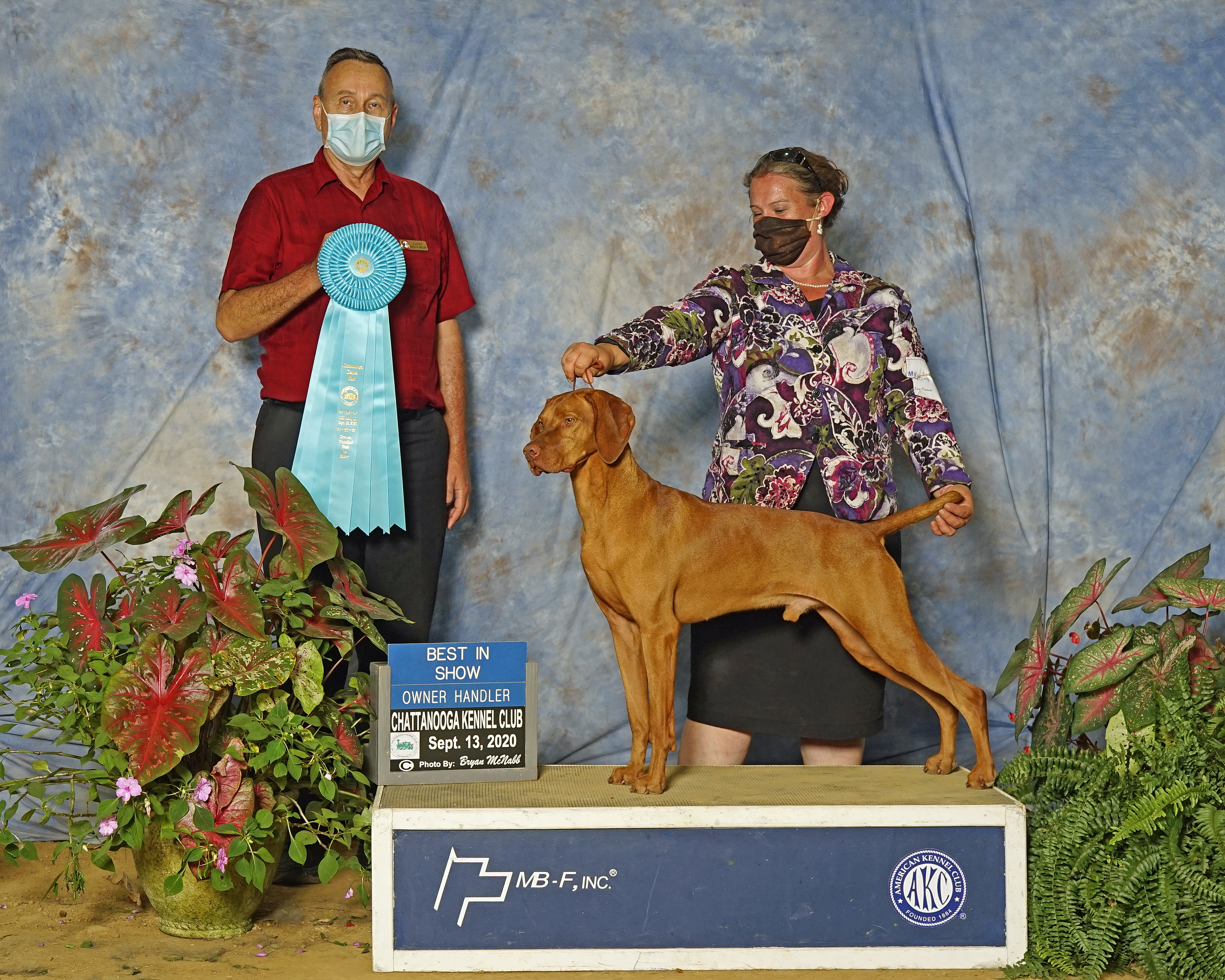 Paddy wins Owner Handler Best in Show! 